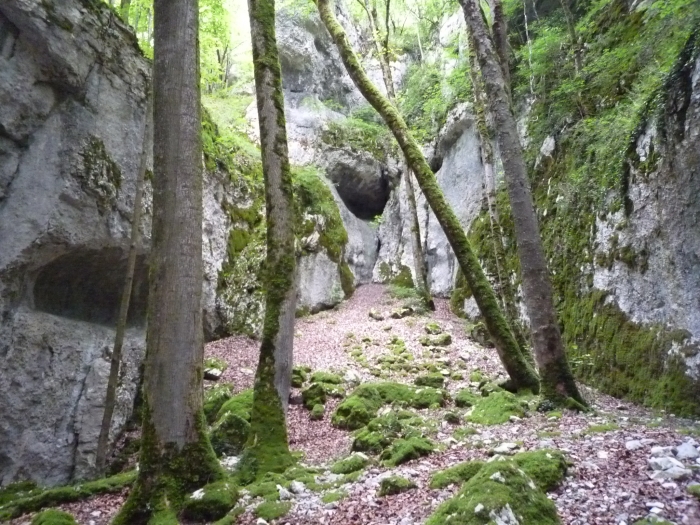 Lire la suite à propos de l’article Aux alentours de Saint-Hippolyte (25) – Juin 2018