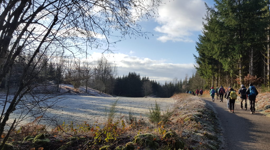 Un chemin ensoleillé, froid et givré