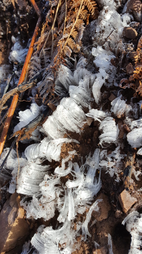 D'étranges structures glacées sortent du sol gelé
