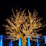 Les lumières de Noël à Montbéliard (25) – Décembre 2013