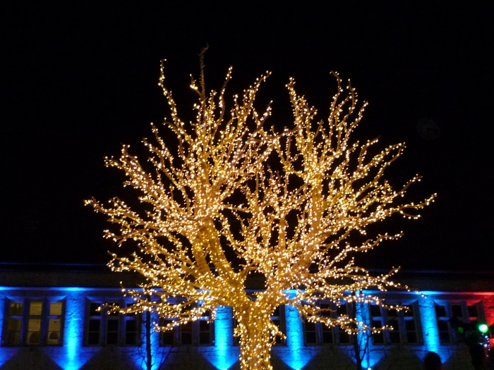 Lire la suite à propos de l’article Les lumières de Noël à Montbéliard (25) – Décembre 2013
