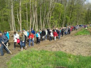 Lire la suite à propos de l’article « De gare à gare » – Sur le chemin de Compostelle Belfort/Héricourt – Avril 2016