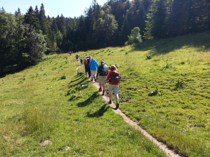 Lire la suite à propos de l’article Dent de Vaulion/Bord nord du lac de Joux (Suisse) – Juillet 2016