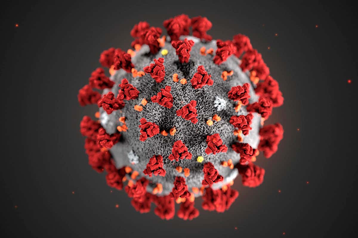 Lire la suite à propos de l’article COVID-19 / Coronavirus