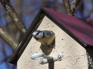 Lire la suite à propos de l’article Légèreté et nature