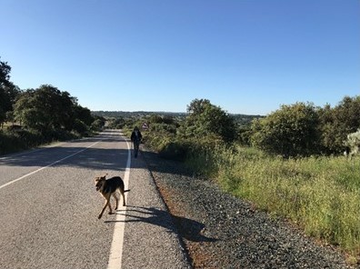 Lire la suite à propos de l’article Santiago, sur le chemin