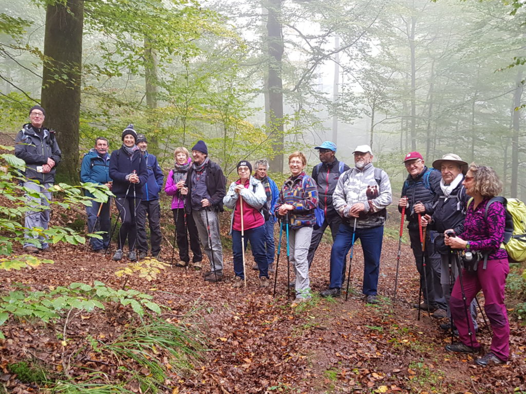 Le groupe dans la forêt du Chérimont