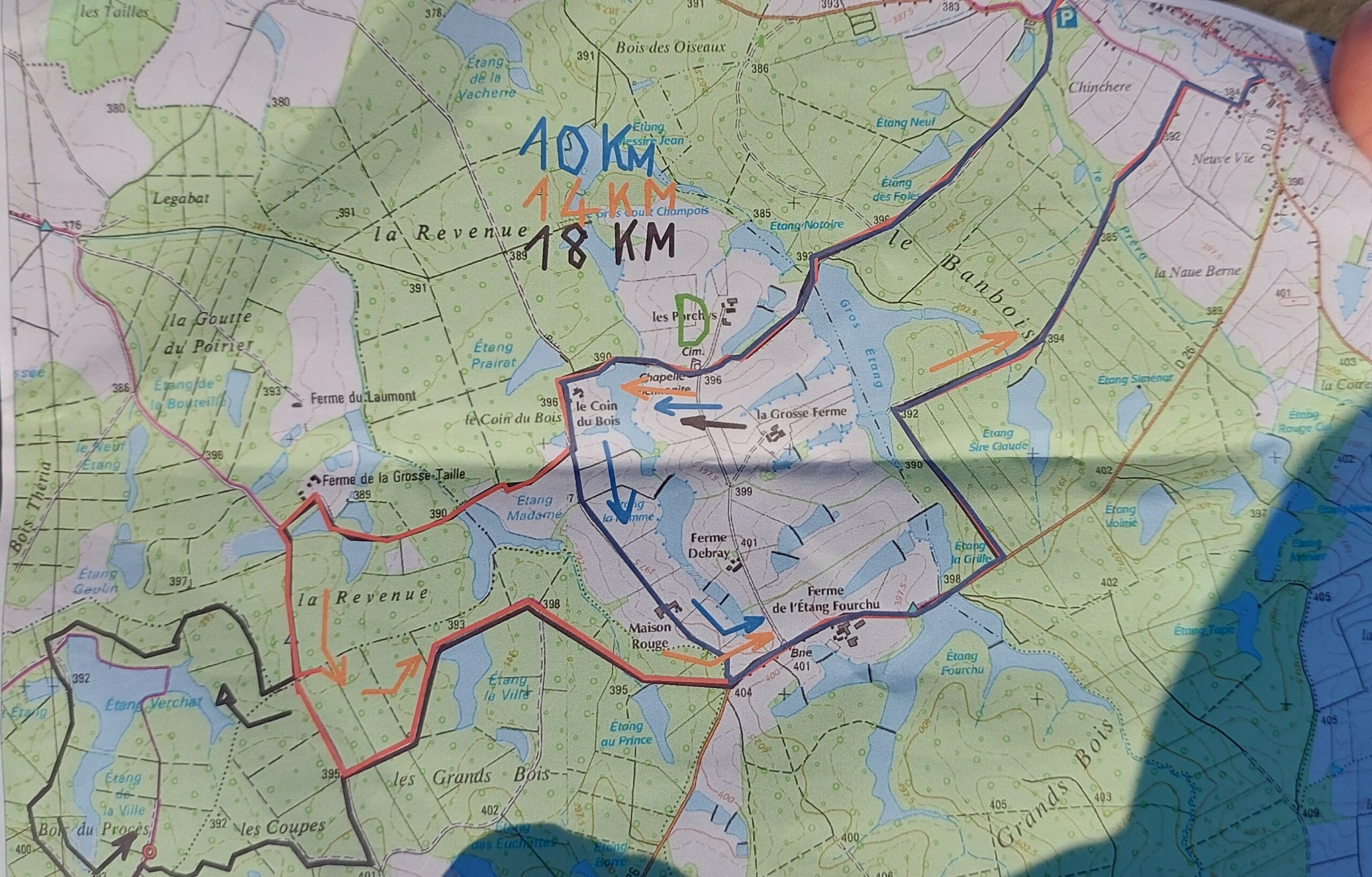 Dans le Sundgau humide - décembre 2023