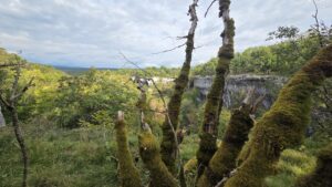 Lire la suite à propos de l’article Vallée du Lison – septembre 2025