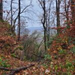 Grande boucle dans la forêt de Chailluz – novembre 2025