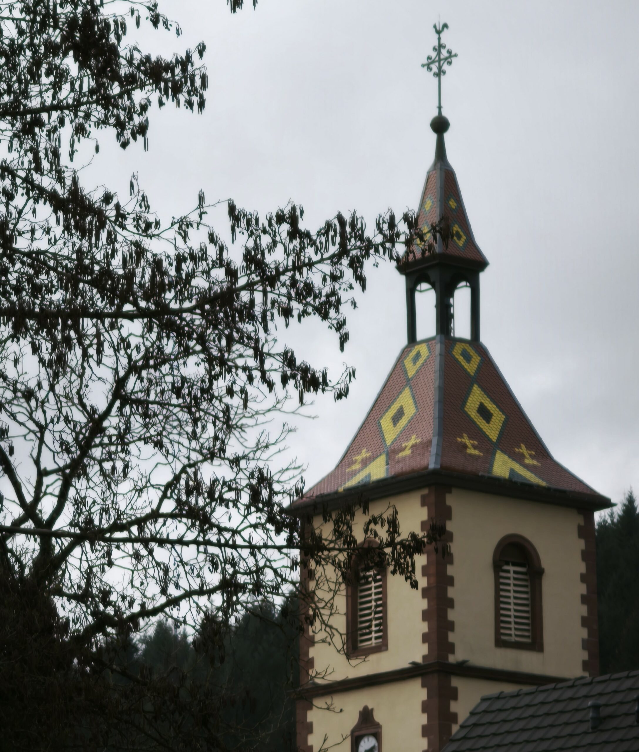 Lire la suite à propos de l’article Au fil de la Doller – février 2026