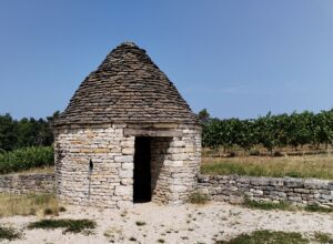 Lire la suite à propos de l’article Port-Lesney et basse vallée de la Loue – juillet 2026